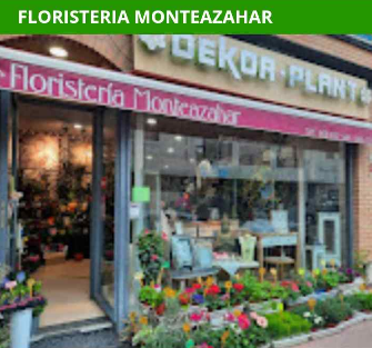 floristeria monteazahar